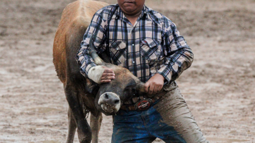 Achatada de novillo