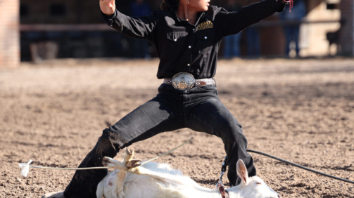 Amarre de Chivo 1