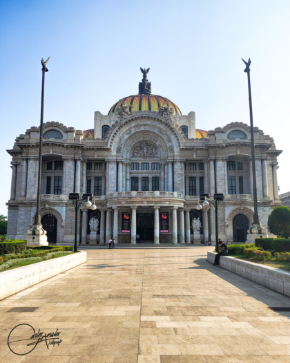Bellas Artes 2
