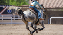 Carrera de Barriles 13