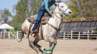 Carrera de Barriles 15