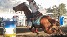 Carrera de Barriles 17