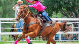 Carrera de Barriles 3
