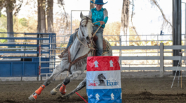 Carrera de Barriles 5