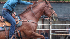 Carrera de Barriles 6