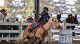 Carrera de Barriles 8