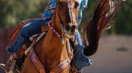 Carrera entre Polos 1