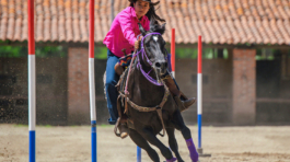Carrera entre Polos 3