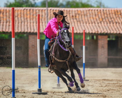 Carrera entre Polos 3