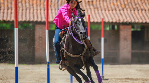 Carrera entre Polos 3