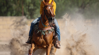 Carrera entre Polos 5