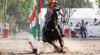 Carrera entre Polos 6