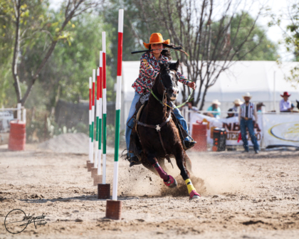 Carrera entre Polos 6