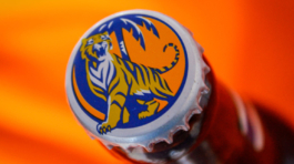 Cerveza Tiger 4