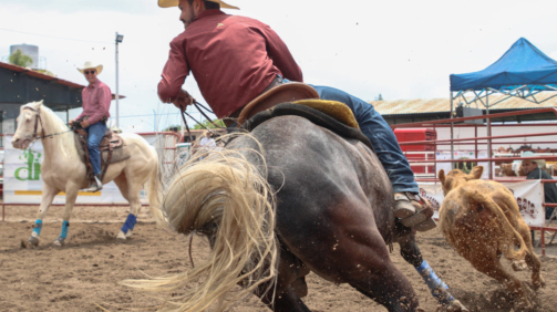 Ranch Sorting